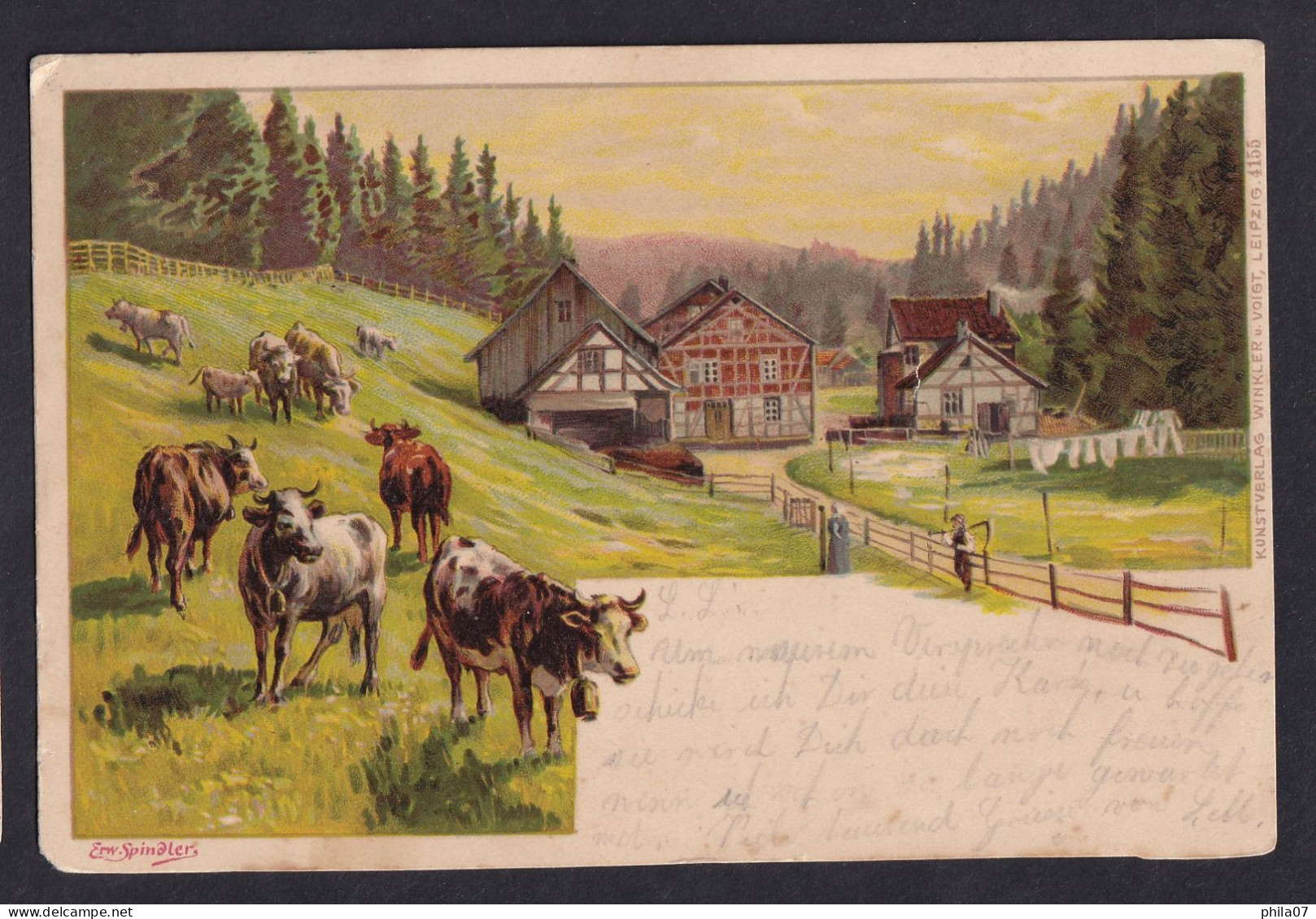 Spindler - Cows / Long Line Postcard Circulated, 2 Scans - Peintures & Tableaux