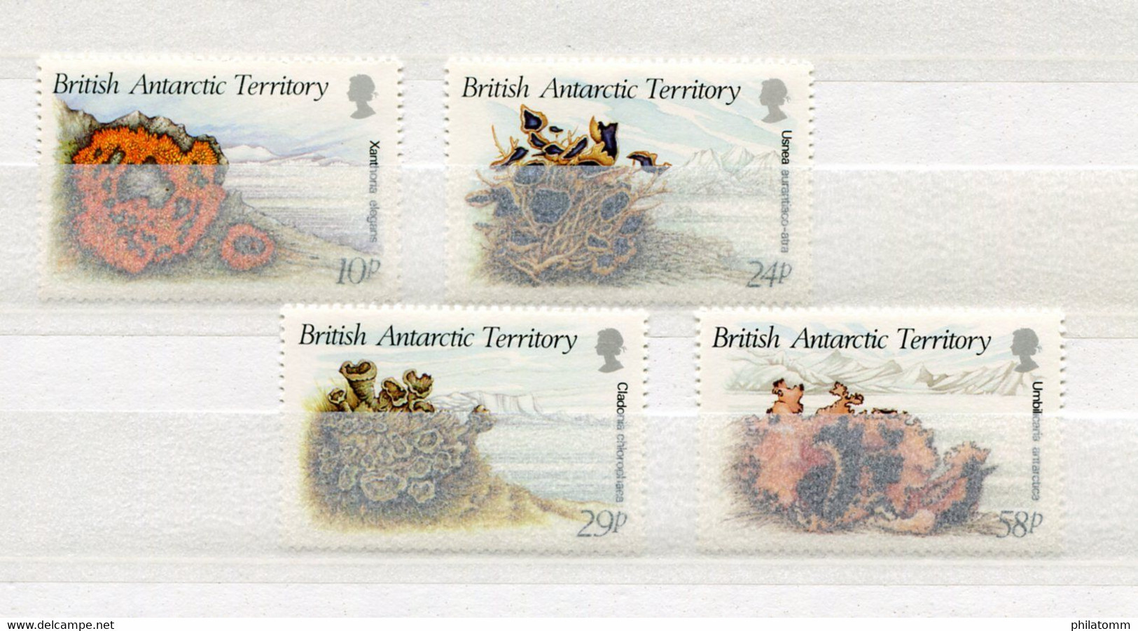 British Antarctic Territory - Mi.Nr. 152 / 155 - "Flechten" ** / MNH (Jahr 1989) - Unused Stamps