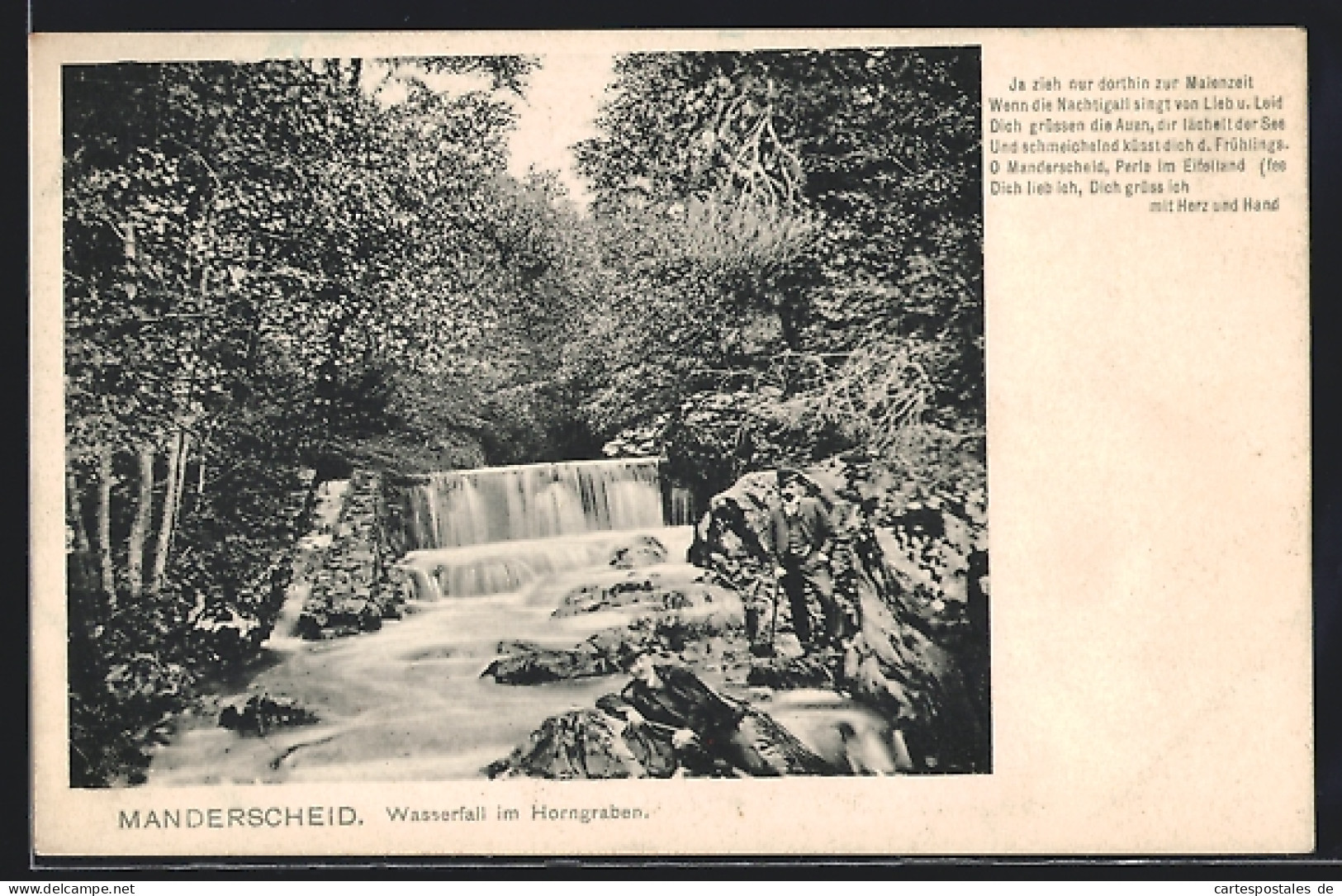 AK Manderscheid, Wasserfall Im Horngraben  - Manderscheid