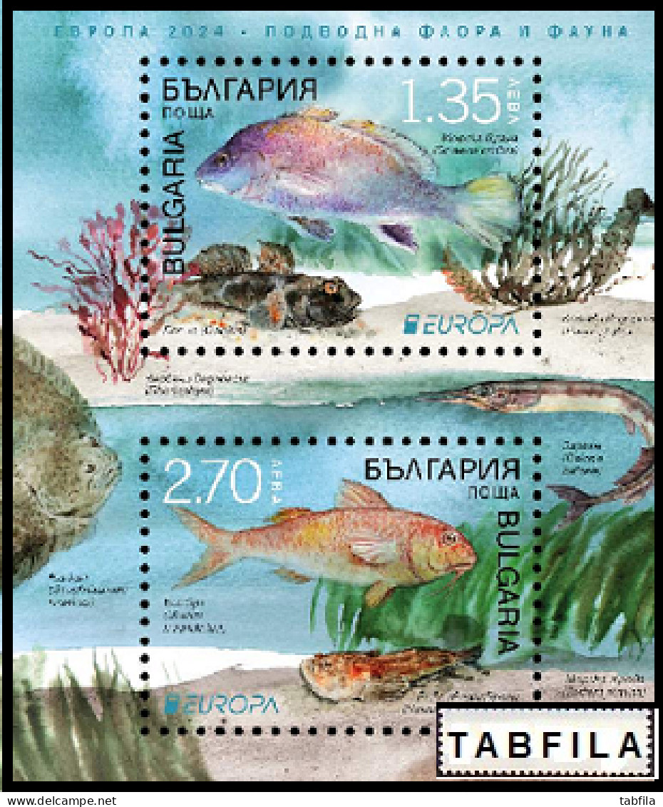 BULGARIA - 2024 - Europa-CEPT - Marine Flora And Fauna - Bl - MNH - Unused Stamps