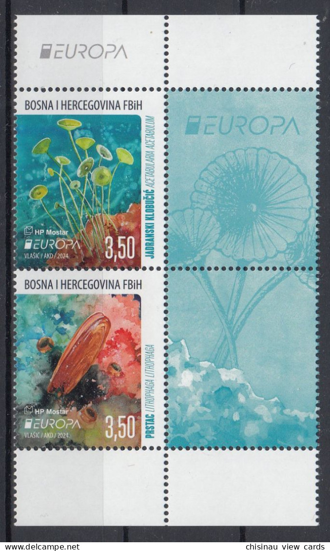 BOSNIA Mostar.2024 Europa CEPT.Underwater Flora And Fauna.Set 2 Stamps With Coupon. MNH - 2024