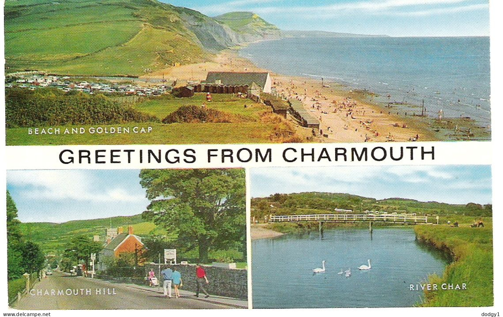 SCENES FROM CHARMOUTH, DORSET, ENGLAND. UNUSED POSTCARD My9 - Sonstige & Ohne Zuordnung