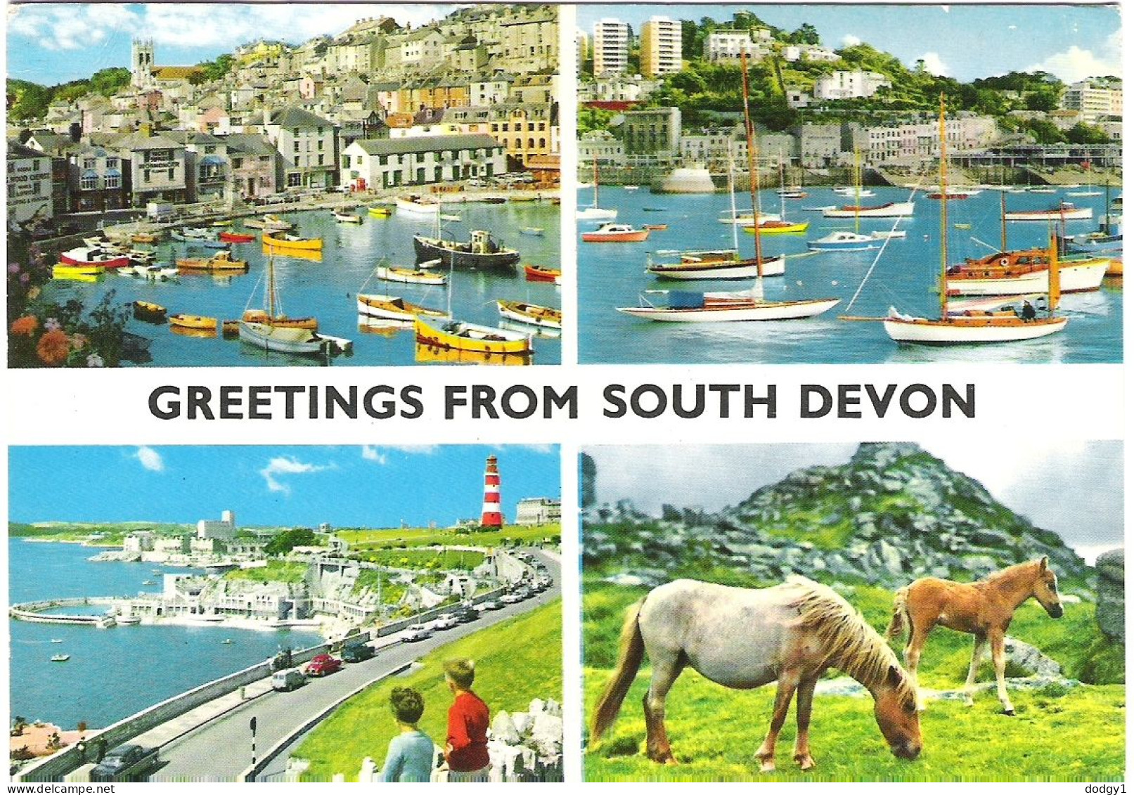 SCENES FROM SOUTH DEVON, USED POSTCARD My9 - Other & Unclassified