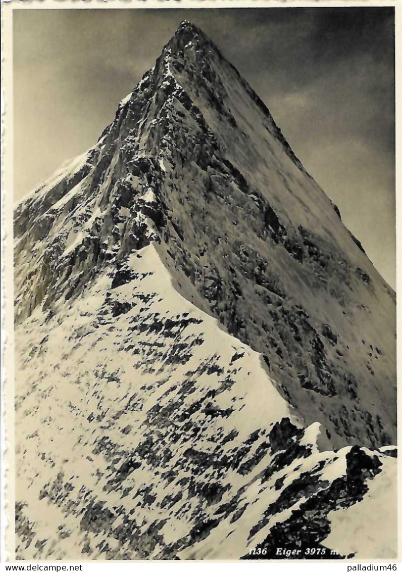 BE EIGER 3975 M. * Superbe Carte * BERN - BERNE - Wilhelm Pleyer Zürich, No 1136 - Pas Circulé - Autres & Non Classés