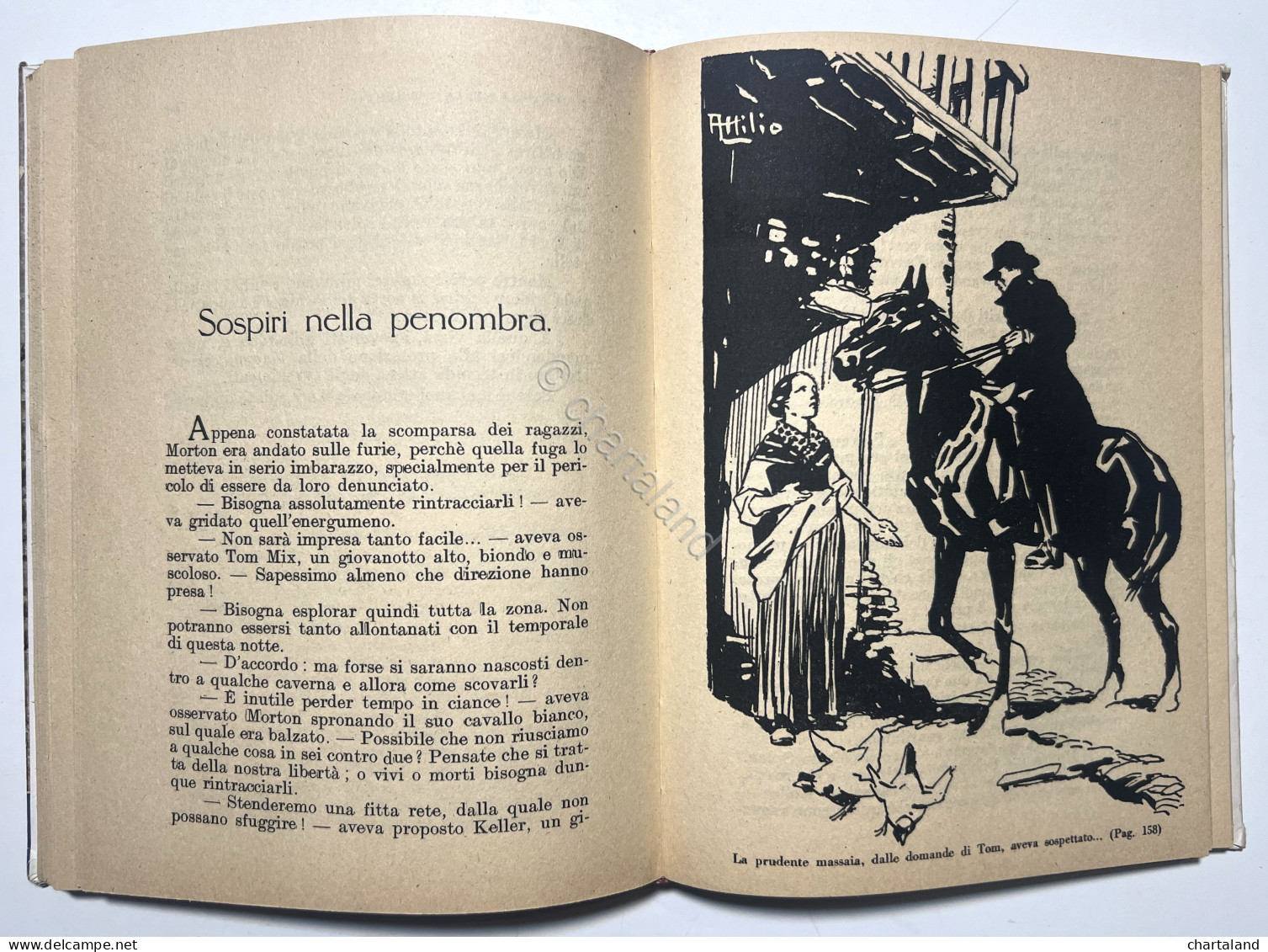 Libri Ragazzi - D. Pilla - Usignuoli Nella Tormenta - Ed. 1947 - Andere & Zonder Classificatie