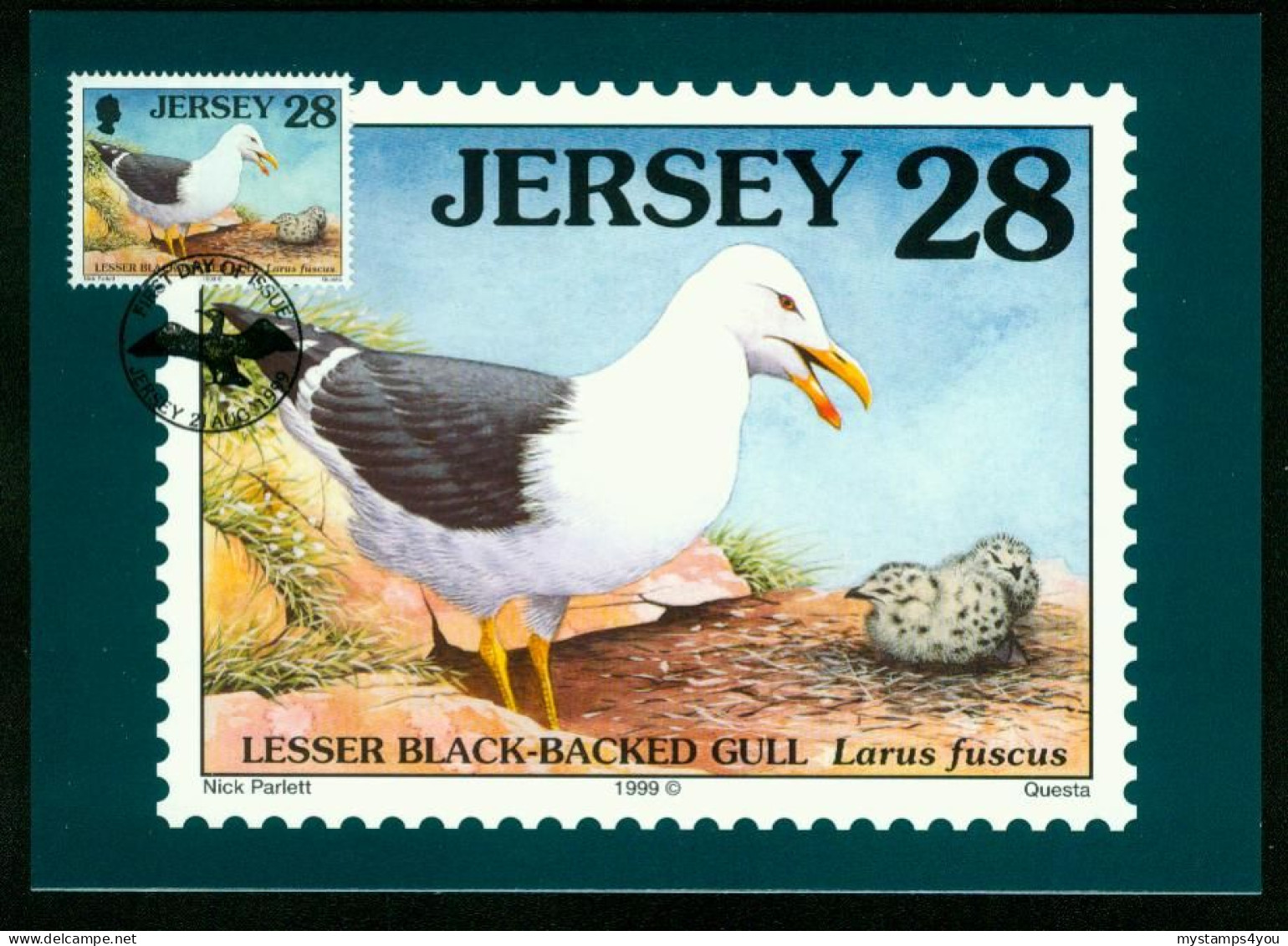 Mk Jersey Maximum Card 1999 MiNr 898 | Seabirds And Waders. Lesser Black-backed Gull #max-0073 - Jersey