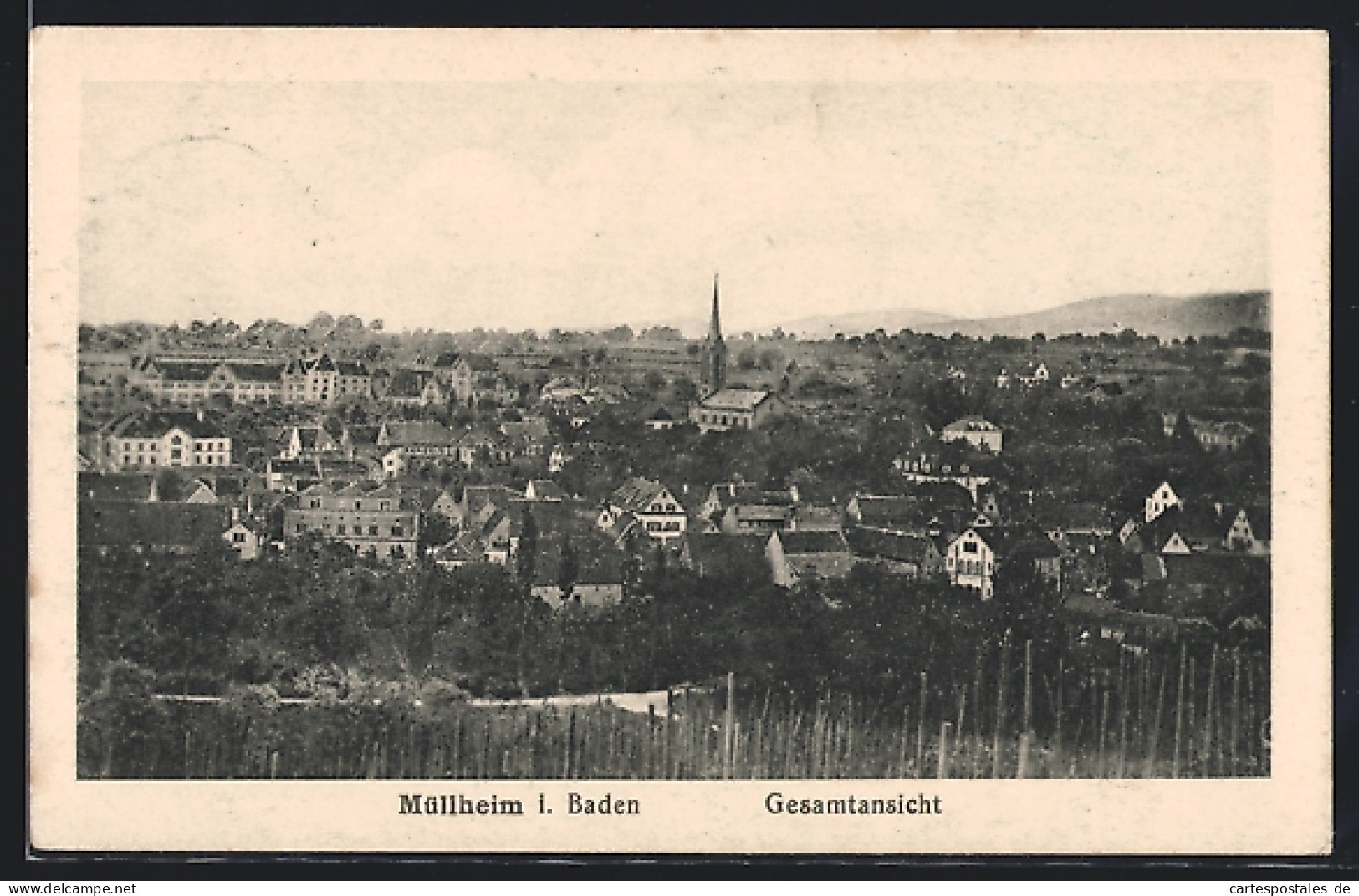 AK Müllheim I. Baden, Gesamtansicht Vom Hügel Aus  - Muellheim