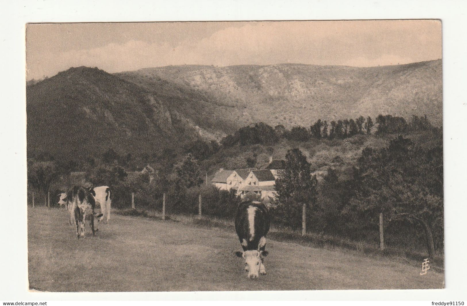 14 . CLECY . Le Chalet De La  Vallée De  L'Orne Et Le Pain De Sucre N°39 . Vaches Dans Le  Pré - Clécy