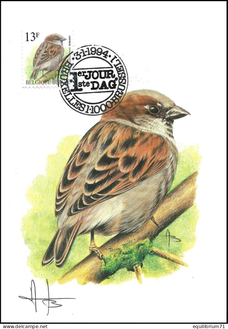 CM/MK - 2533° Moineau Domestique / Huismus / Haussperling / House Sparrow - BXL-BSL - 3-1-1994 - BUZIN - SIGNÉ/GETEKEND - 1985-.. Birds (Buzin)