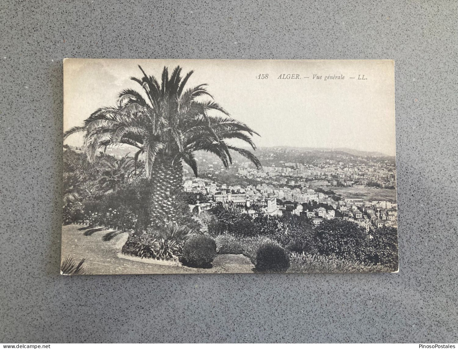 Alger - Vue Gererale Carte Postale Postcard - Algiers