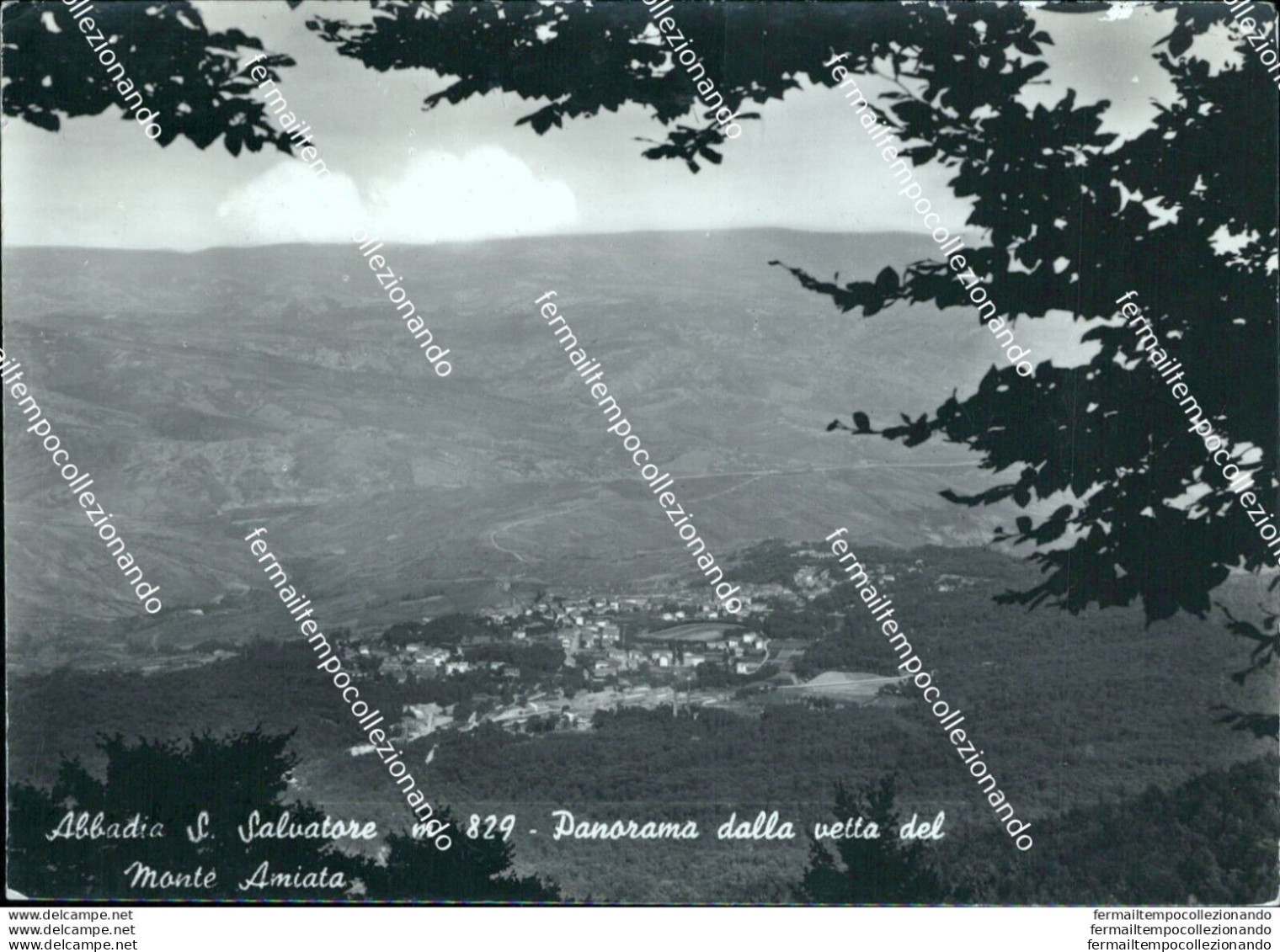 Br209 Cartolina Abbadia S.salvatore Panorama Dalla Vetta Del Monte Amiata Siena - Siena