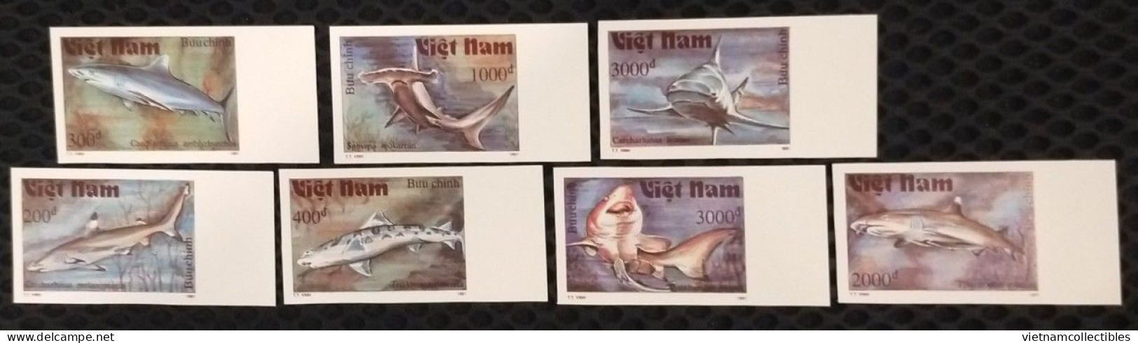 Vietnam Viet Nam MNH Imperf Stamps 1991 : Shark (Ms616) - Vietnam