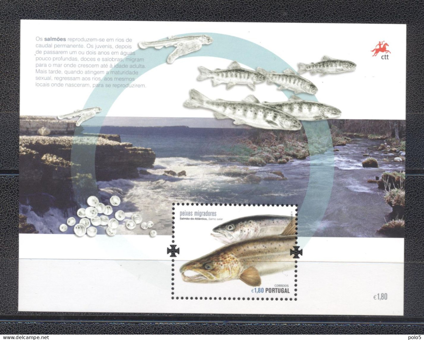 Portugal 2011- Migratory Fish M/Sheet - Unused Stamps