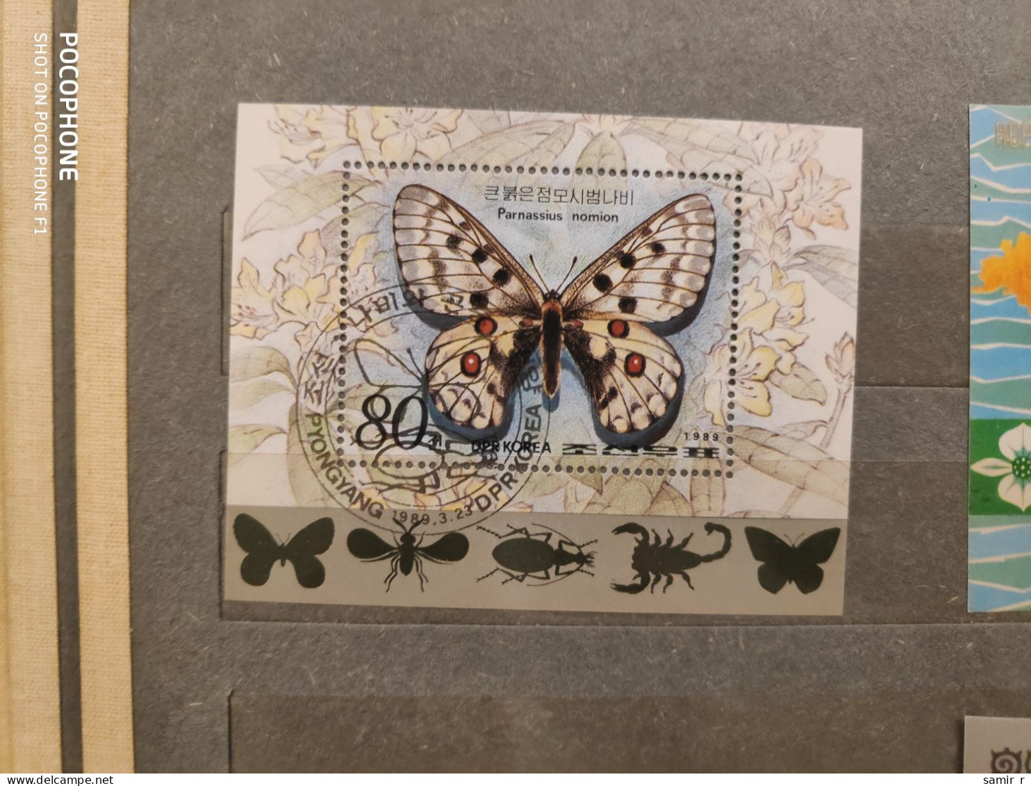 1989	Korea	Butterflies 8 - Corée Du Sud