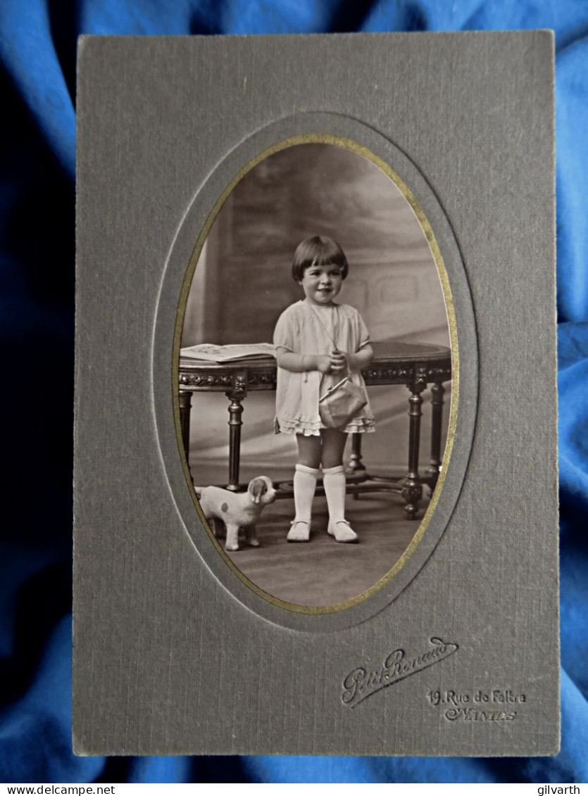 Photo Cabinet Paul Renaud à Nantes - Petite Fille Petit Sac à Main, Peluche D'un Petit Chien, Ca 1920-30 L441 - Persone Anonimi