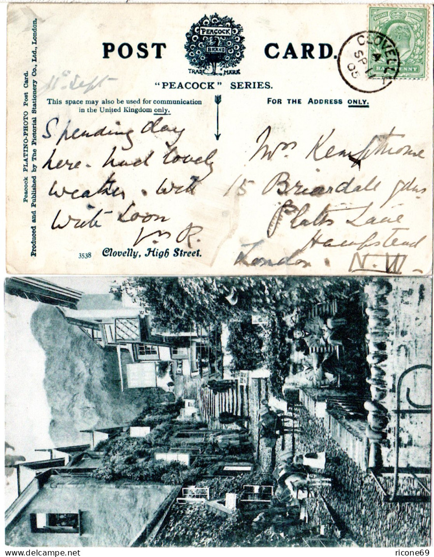 GB 1905, CLOVELLY Thimble Cds On Postcard With 1/2d - Sonstige & Ohne Zuordnung