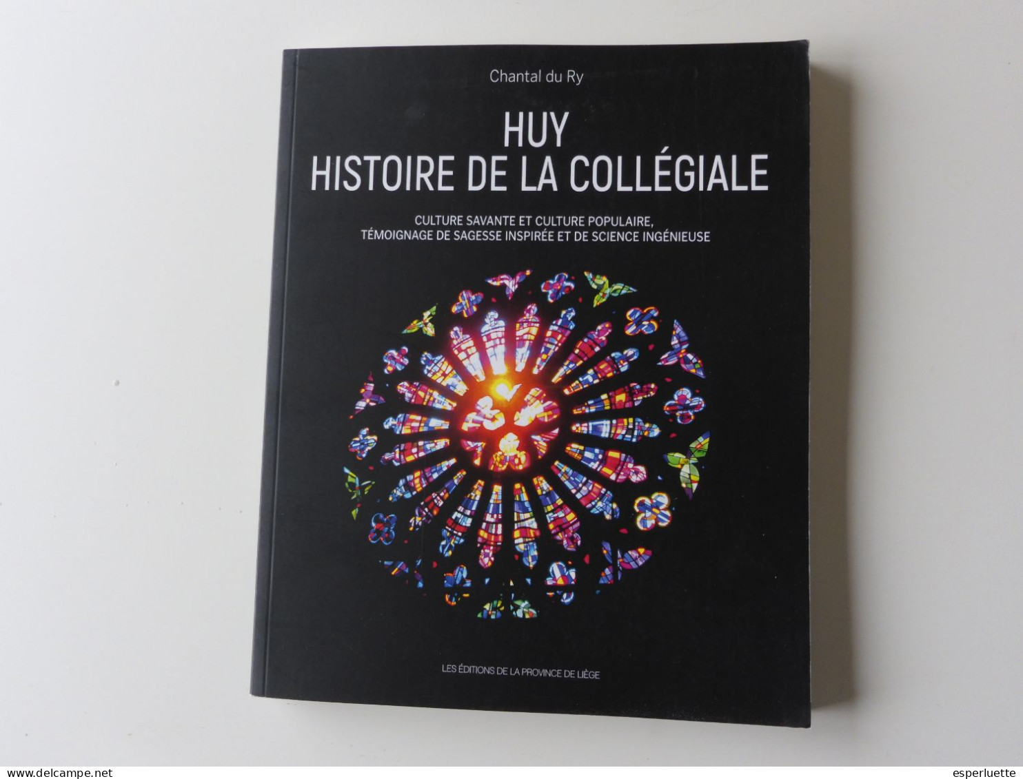 Huy Histoire De La Collégienne - Chantal Du Ry - Les Editions De La Province De Liège - Belgium