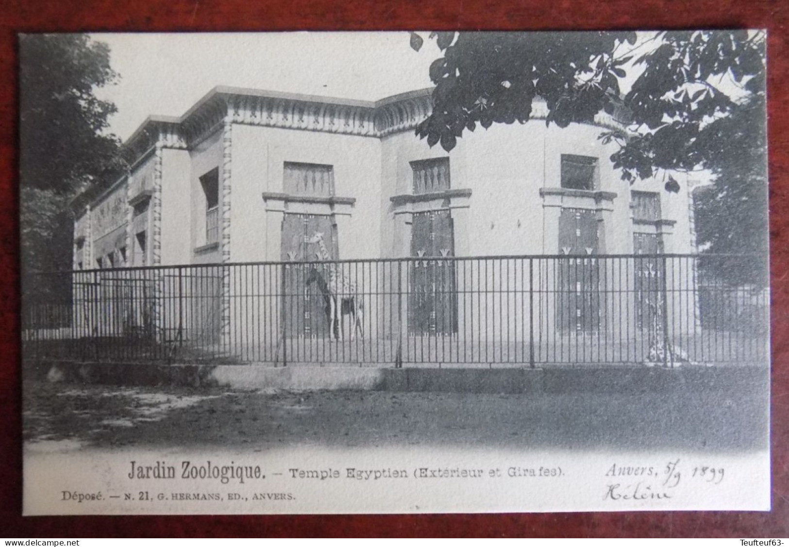 Cpa Jardin Zoologique - Temple égyptien ( Extérieur Et Girafes ) 1899 - Antwerpen