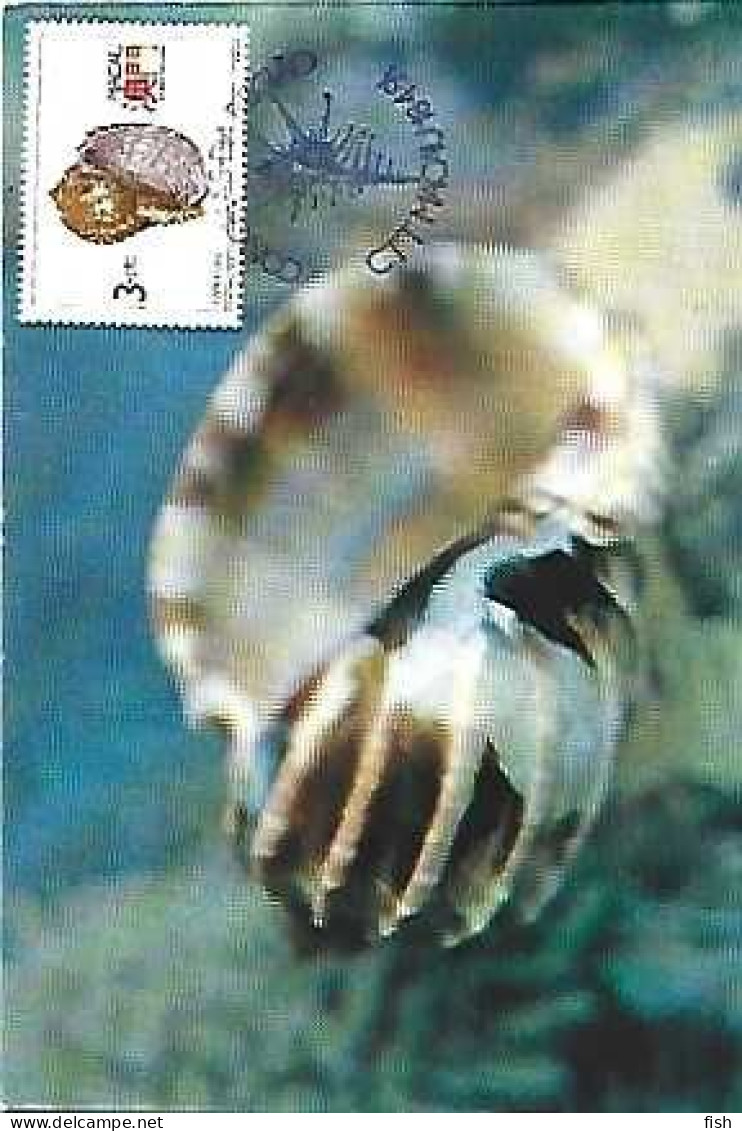 Macau & Maximun Card, Shell, Noble Harp, Macau 1991 (686) - Poissons Et Crustacés