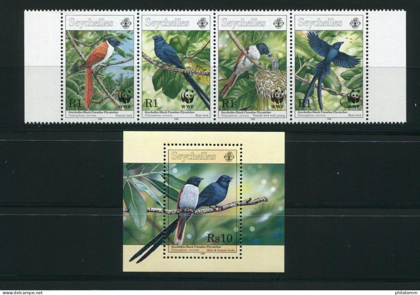 WWF - Seychellen - Block Nr. 38 U. Mi.Nr. 798 / 801 - "Seychellen-Paradiesschnäpper" ** / MNH (aus Dem Jahr 1996) - Unused Stamps