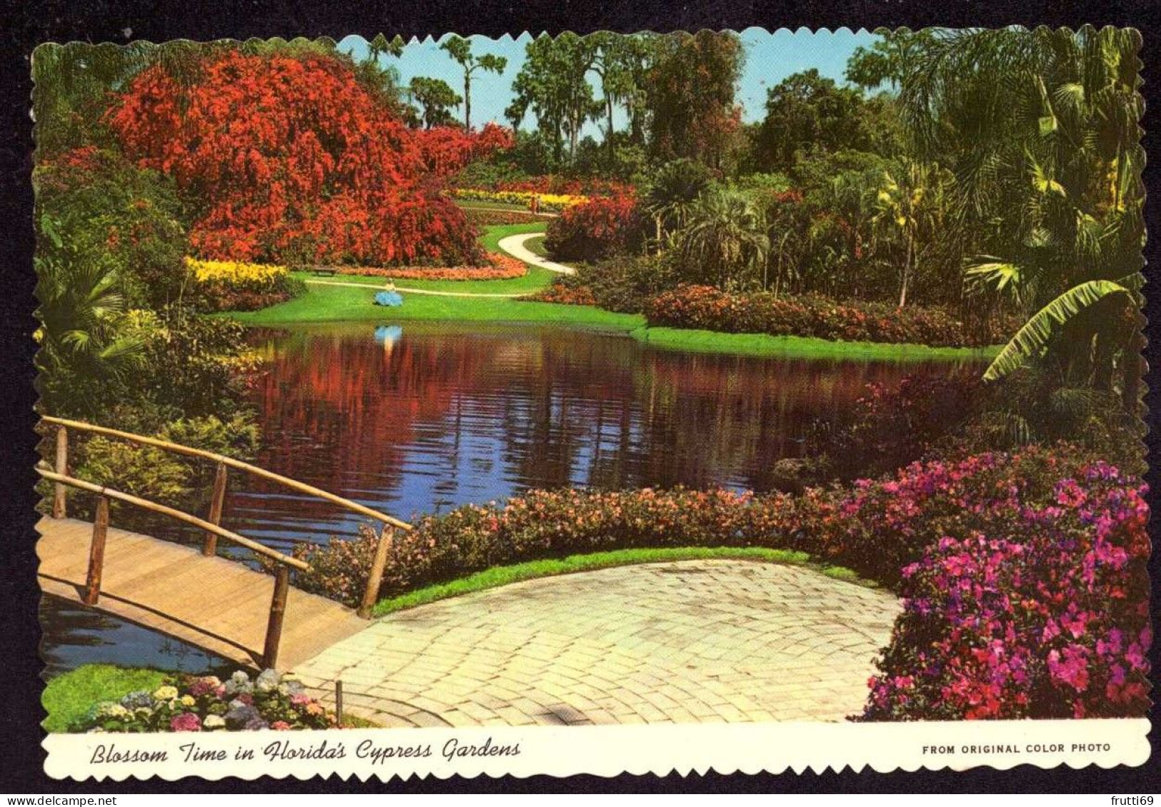 AK 211948 USA - Florida - Cypress Gardens - Autres & Non Classés