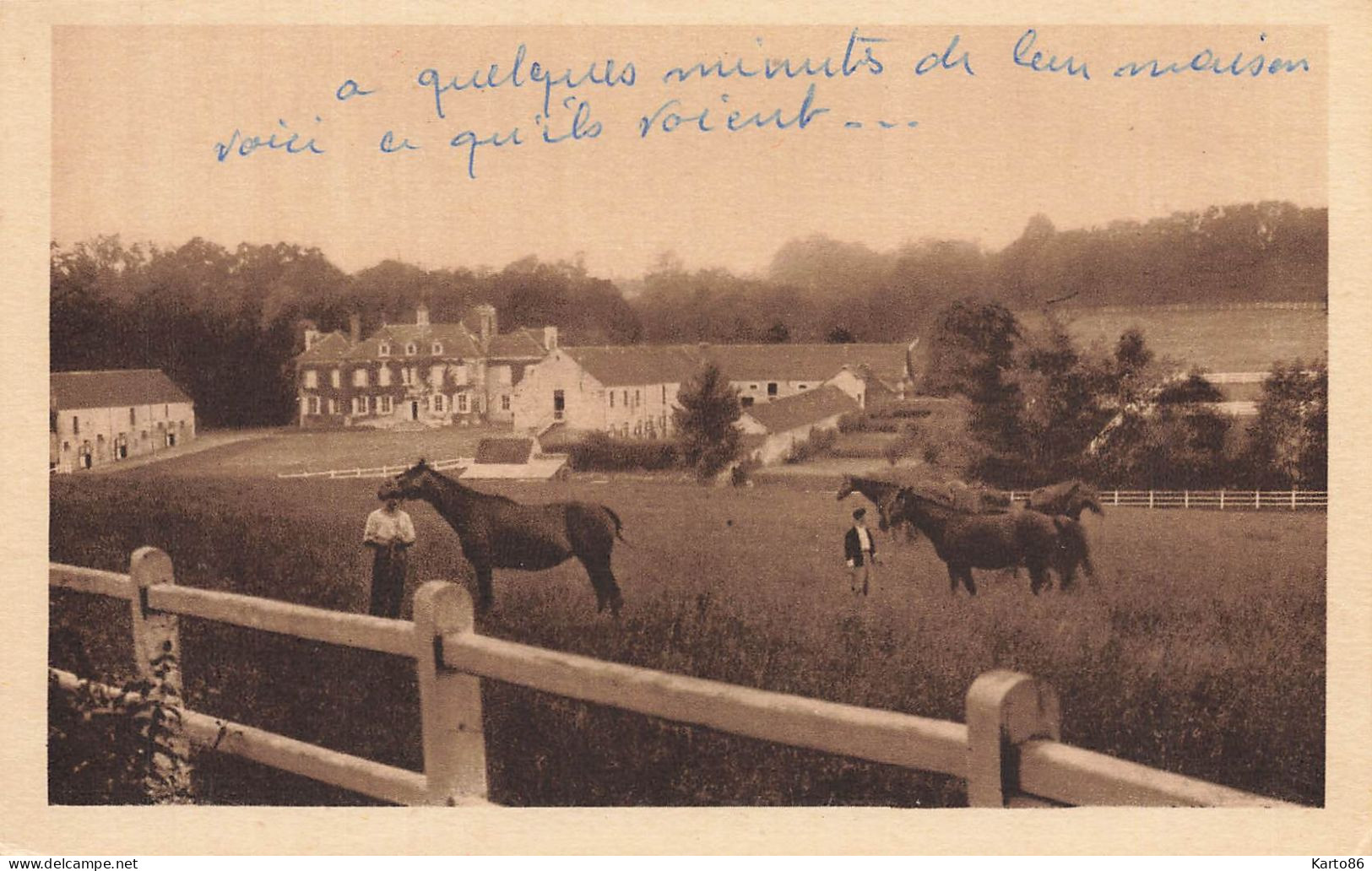 Neuvy Au Houlme * Le Haras Du Gazon * Thème Cheval Chevaux Horse Hippique Hippisme équitation - Autres & Non Classés