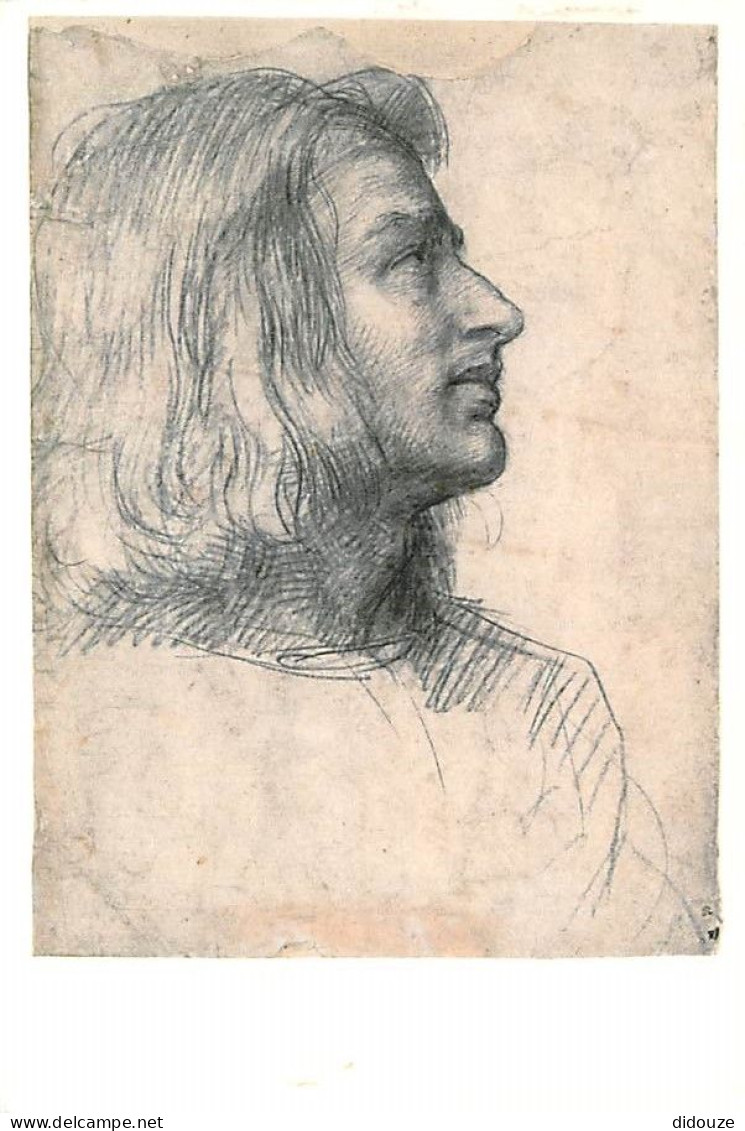 Art - Peinture - Andrea Del Sarto - Head Of A Young Man - CPM - Carte Neuve - Voir Scans Recto-Verso - Peintures & Tableaux