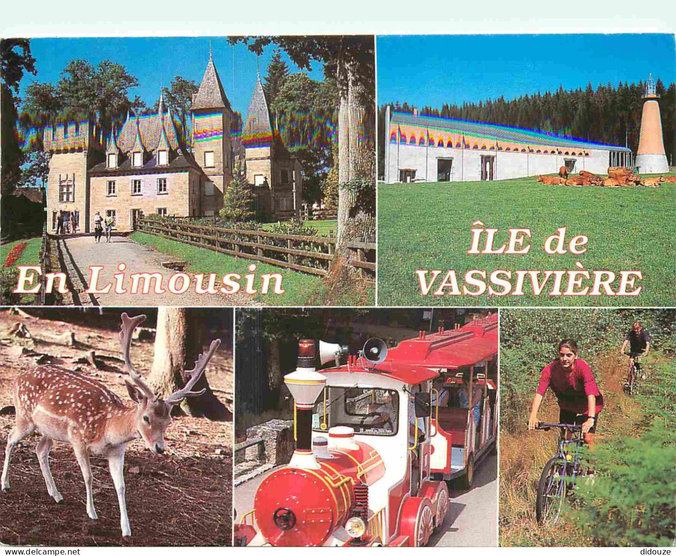 87 - Vassivière En Limousin - Multivues - Petit Train Touristique - Daims - Le Château - CPM - Voir Scans Recto-Verso - Autres & Non Classés