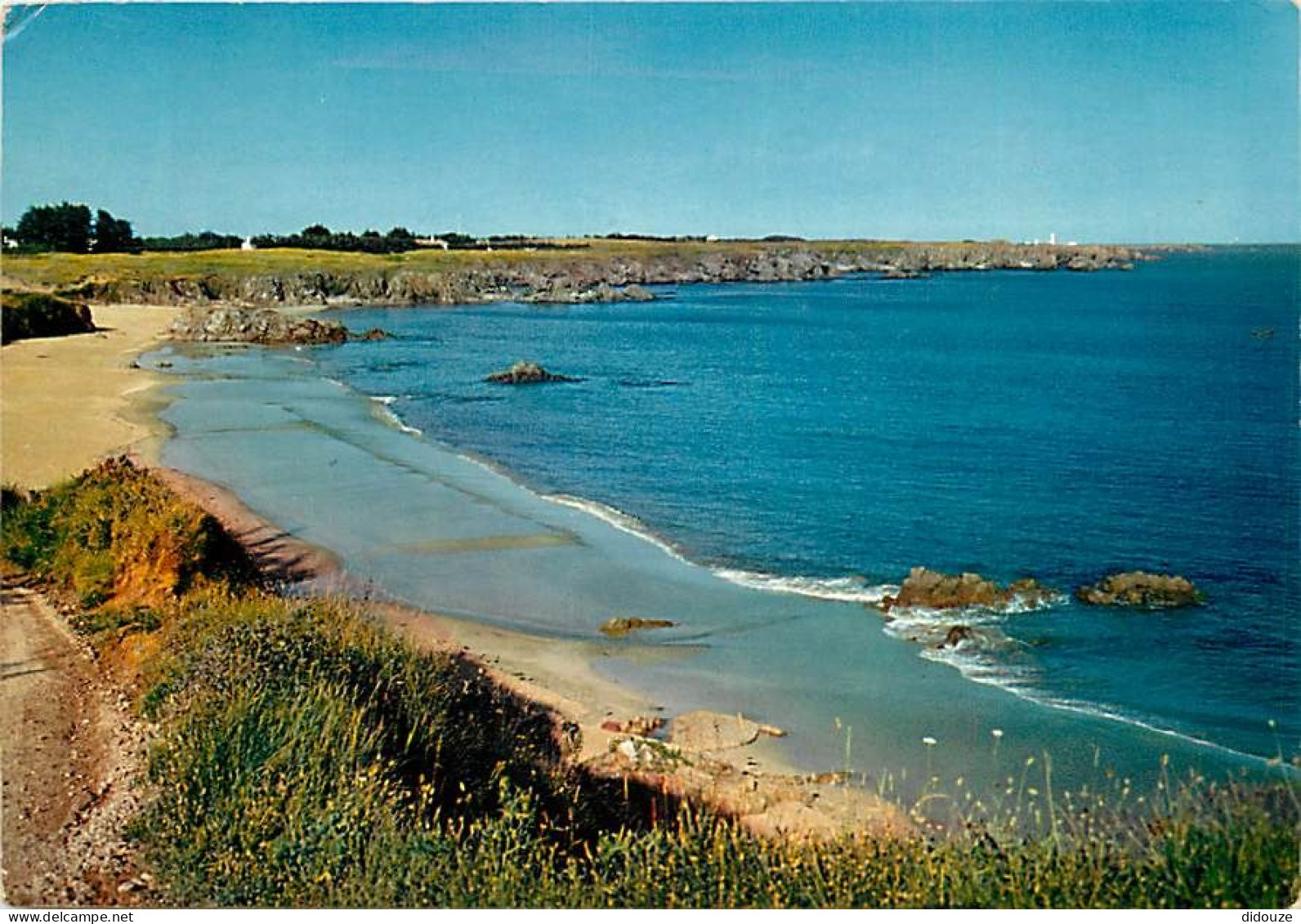 85 - Ile D'Yeu - Anse Des Vieilles Et Pointe Des Corbeaux - Flamme Postale De L'Ile D'Yeu - CPM - Voir Scans Recto-Verso - Ile D'Yeu