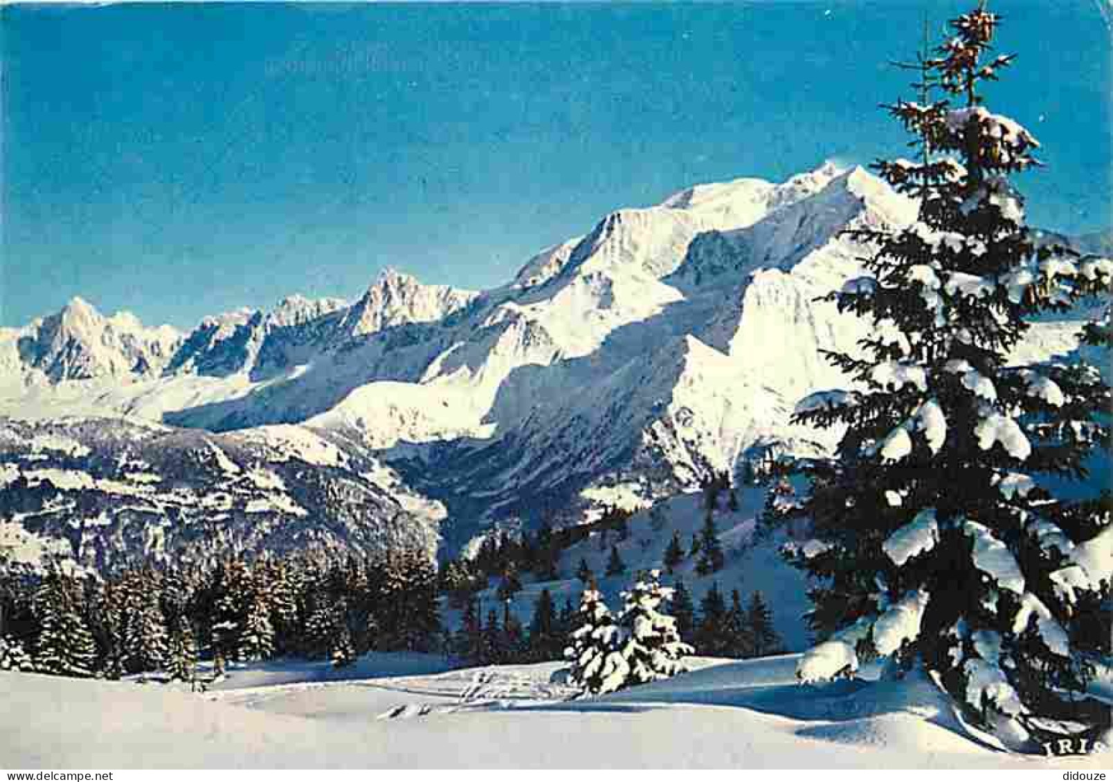 74 - Chamonix - Mont-Blanc - La Verte - L'Aiguille Du Midi - Le Massif Du Mont-Blanc - CPM - Voir Scans Recto-Verso - Chamonix-Mont-Blanc