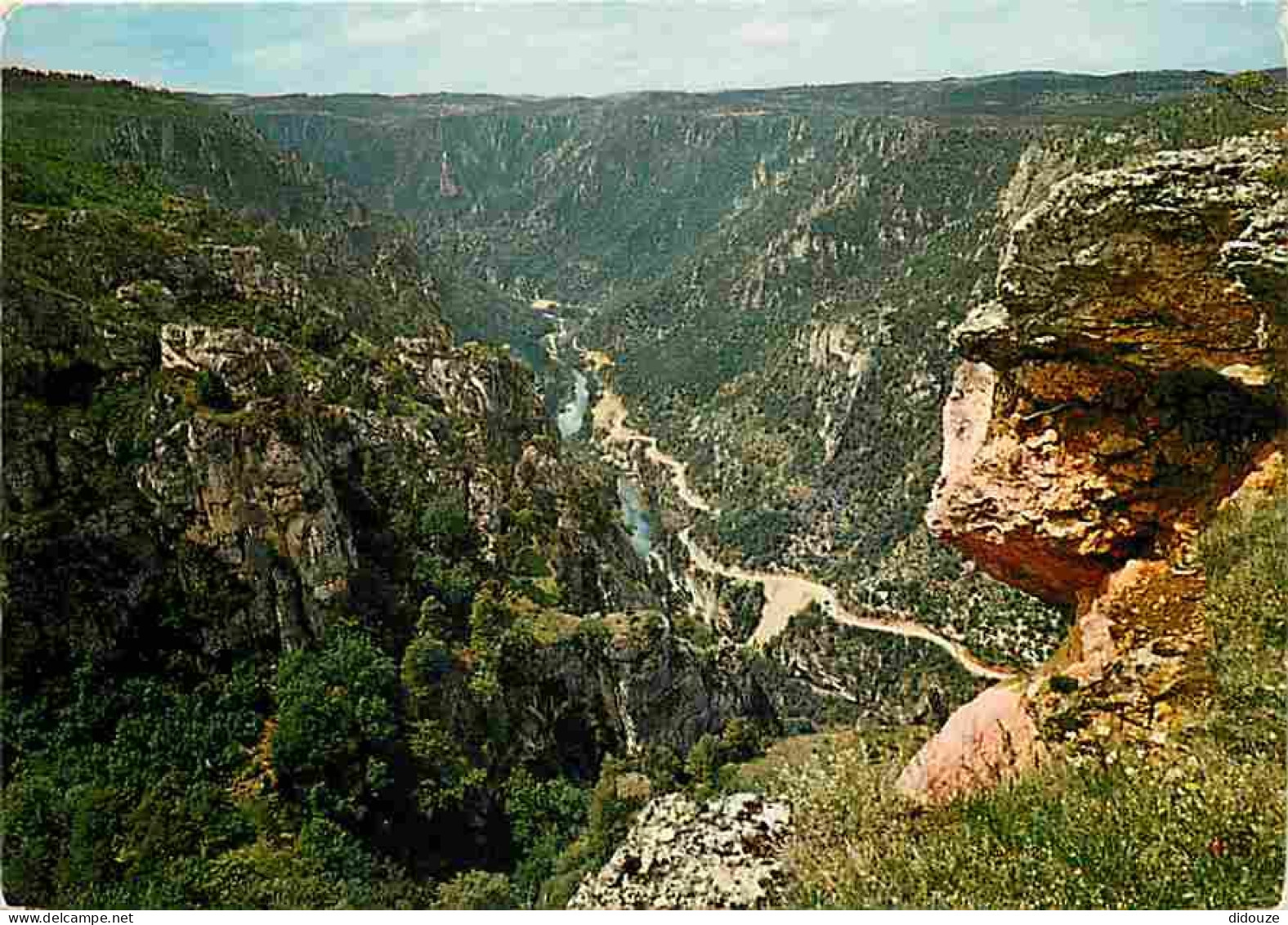 48 - Les Gorges Du Tarn - Vue Panoramique Sur Les Détroits Et La Vallée Du Tarn Vers Le Rozier Dominés Par Le Roc Des Ho - Gorges Du Tarn