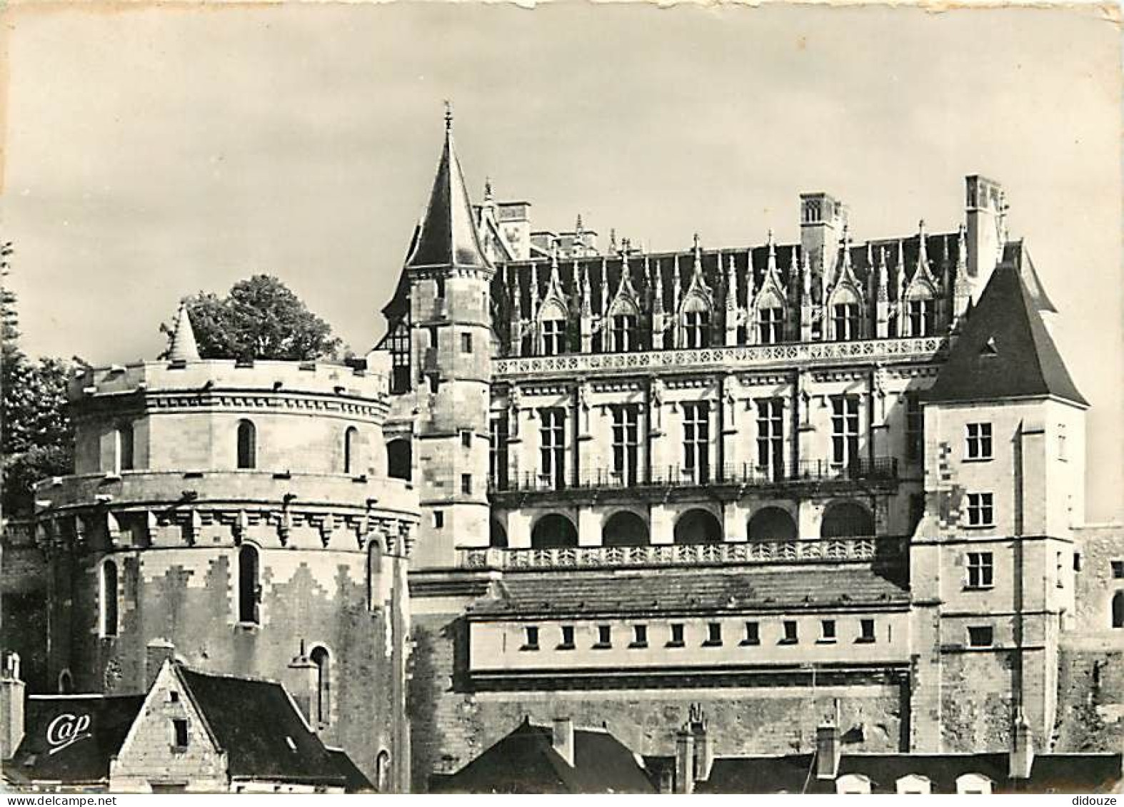 37 - Amboise - Le Château - CPSM Grand Format - CPM - Voir Scans Recto-Verso - Amboise