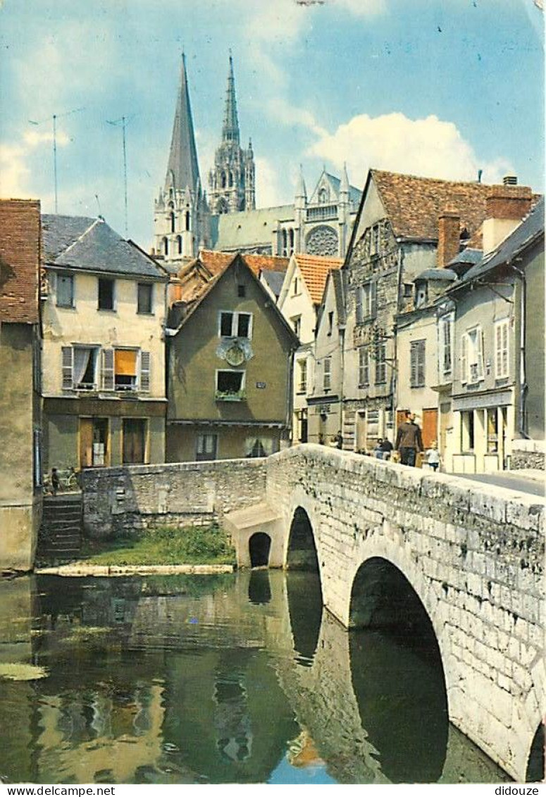 28 - Chartres - Vieux Pont Sur L'Eure Et La Cathédrale - CPM - Voir Scans Recto-Verso - Chartres