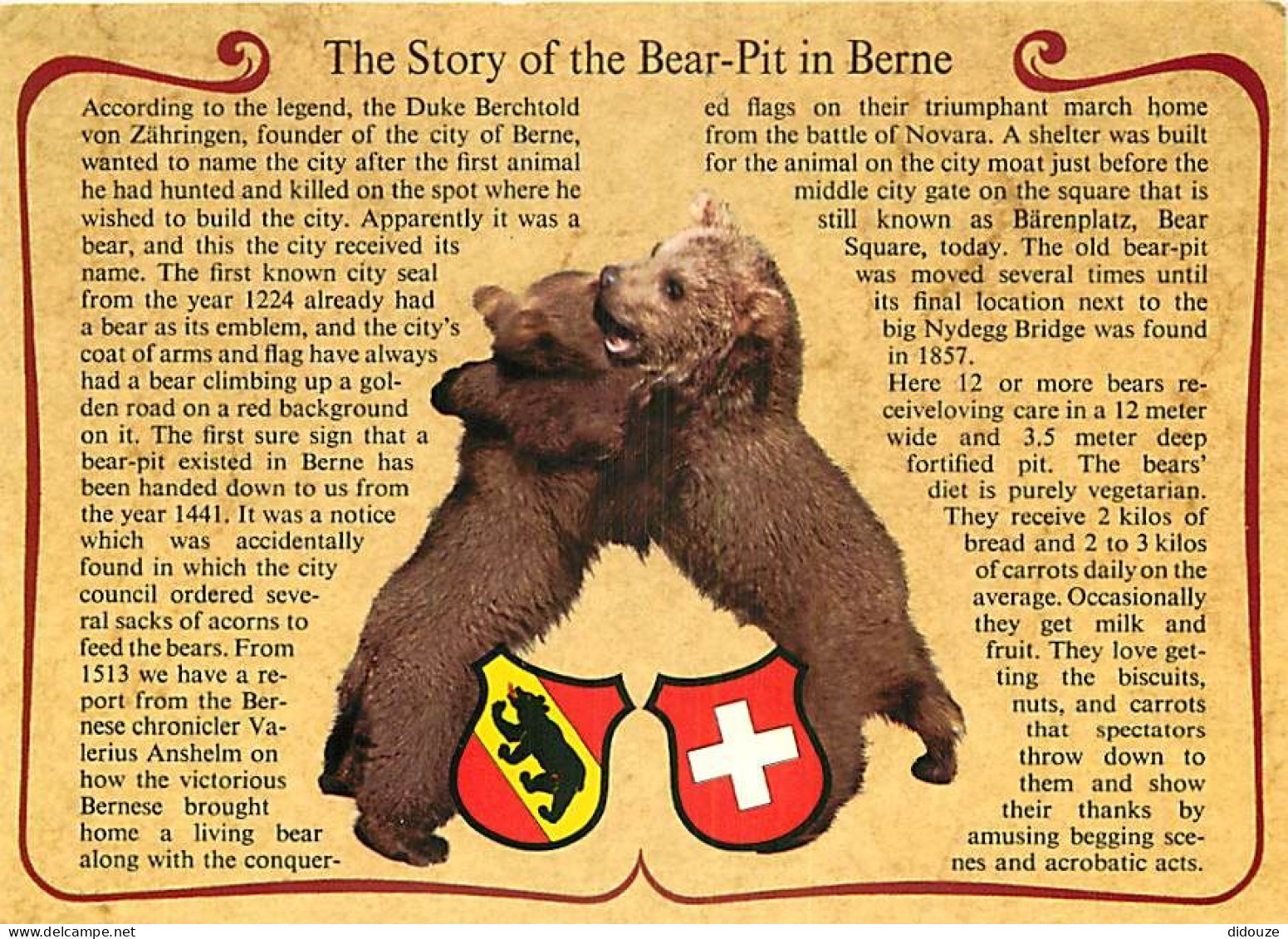 Animaux - Ours - La Fosse Aux Ours De Berne - Histoire De La Fosse Aux Ours - Zoo - Bear - CPM - Carte Neuve - Voir Scan - Ours