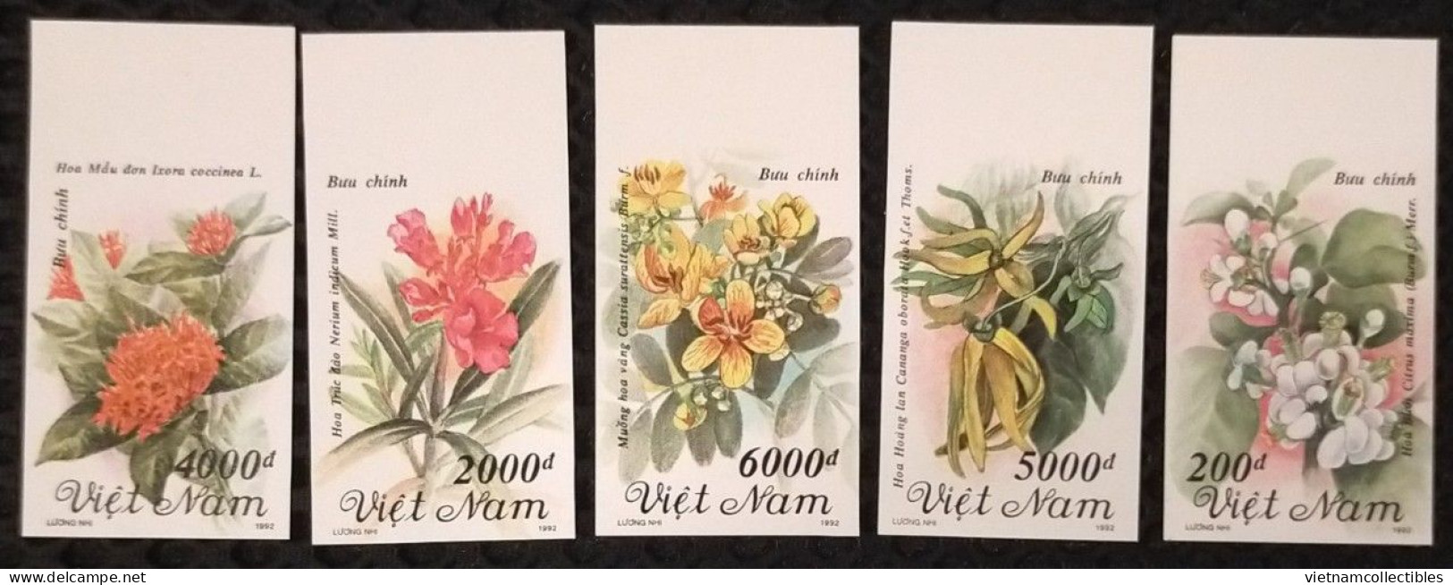 Vietnam Viet Nam MNH Imperf Stamps 1992 : Flowers / Flower (Ms647) - Vietnam