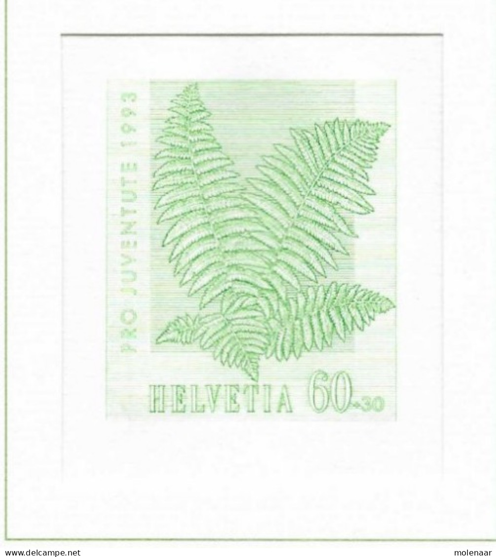 Postzegels > Europa > Zwitserland >kaart Uit 1993  Pro Juventute (17628) - Neufs