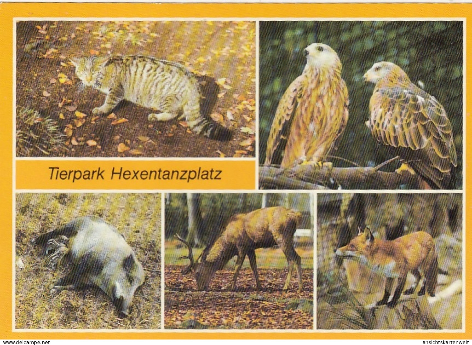 Quedlinburg, Harz, Tiere Hexentanzplatz, Mehrbildkarte Gl1938 #G5205 - Andere & Zonder Classificatie