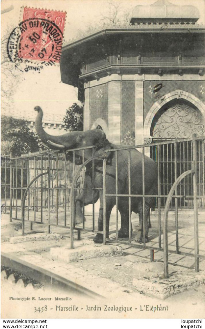 MARSEILLE Jardin Zoologique Eléphant - Parcs Et Jardins