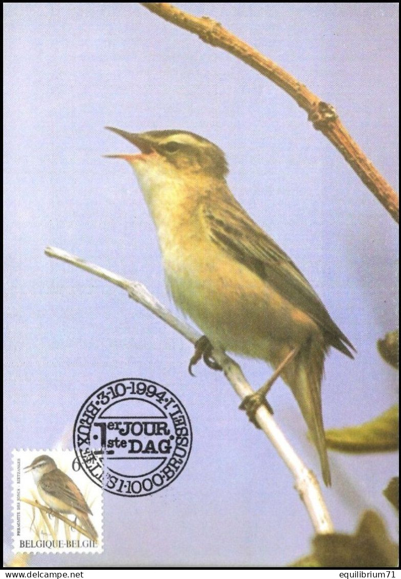 CM/MK° - Phragmite Des Joncs / Rietzanger / Rohrsänger / Sedge Warbler - BXL-BSL - 3-10-1994 -  BUZIN - 1985-.. Birds (Buzin)