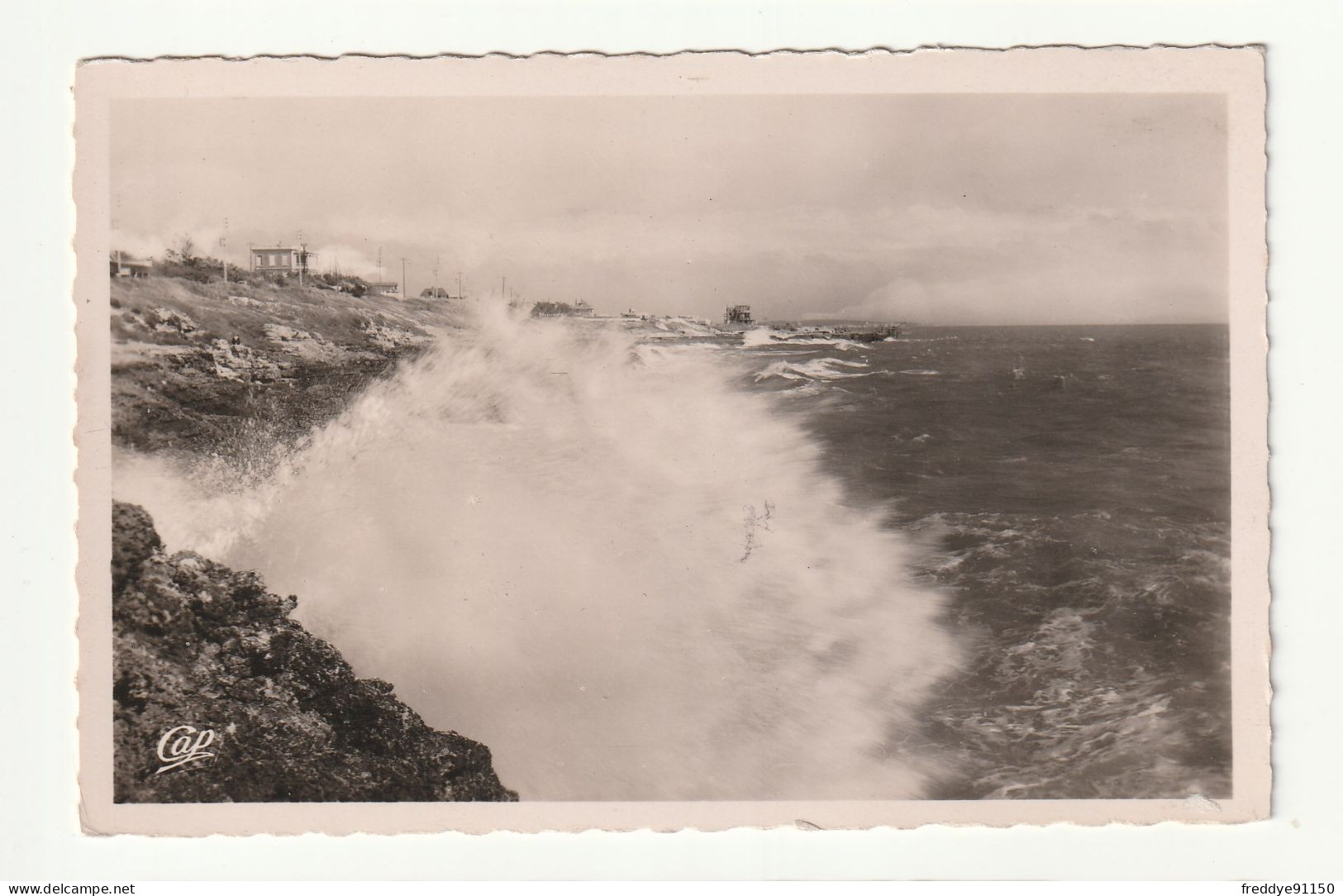 17 . Saint Palais Sur Mer . Rochers De La Grande Côte - Saint-Palais-sur-Mer