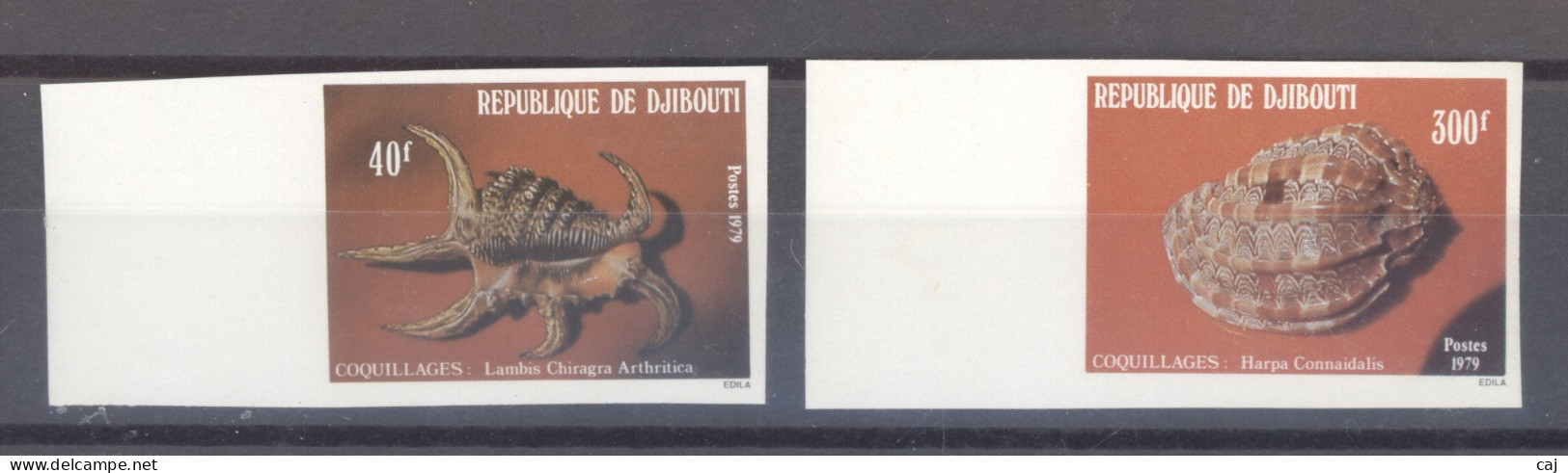 Djibouti  -  Non Dentelés  :  Yv 513-14  **  Coquillages - Djibouti (1977-...)