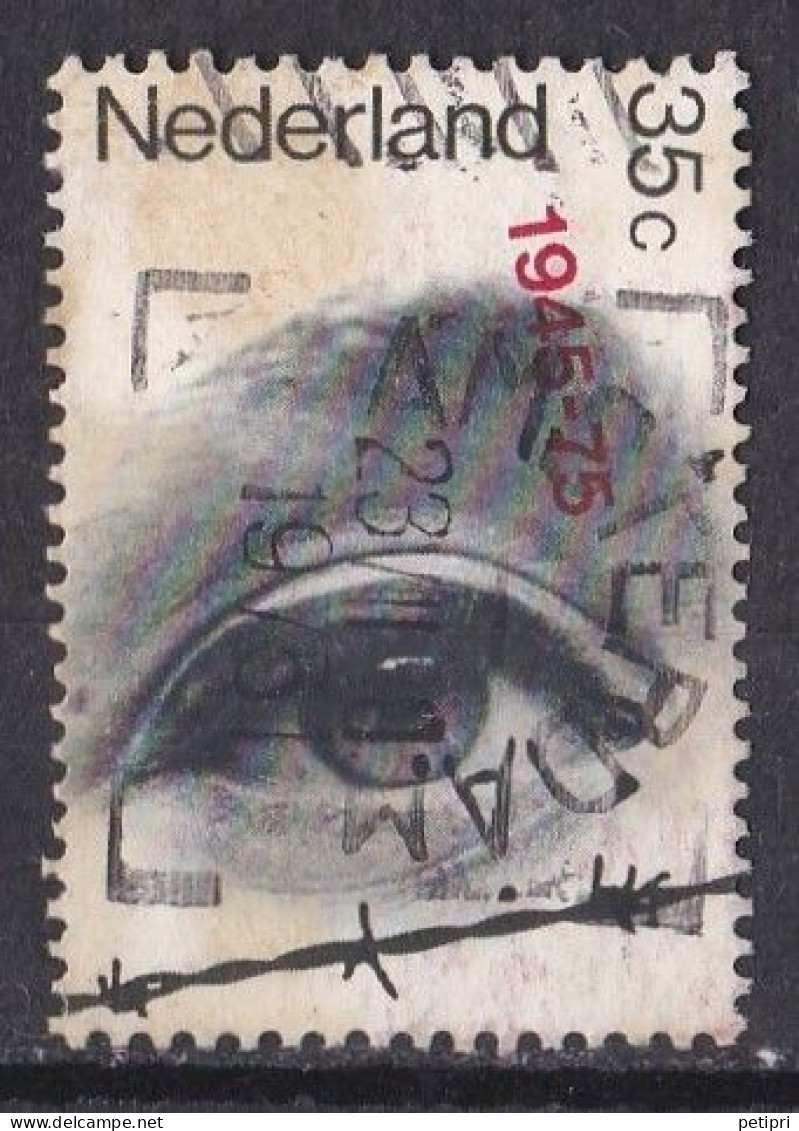Pays Bas - 1970 - 1980  ( Juliana )   Y&T  N ° 1023   Oblitéré - Used Stamps