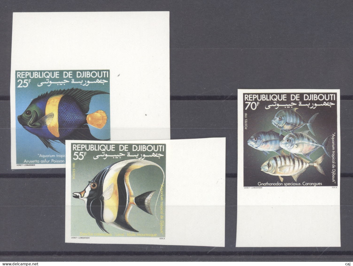 Djibouti  -  Non Dentelés  :  Yv 527-29  **  Poissons - Djibouti (1977-...)