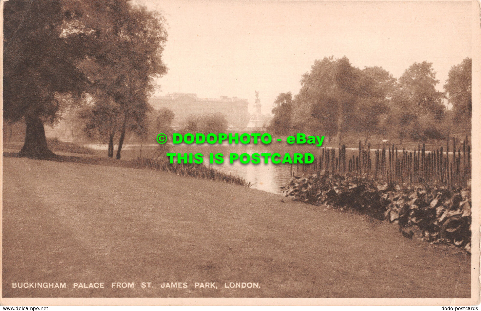 R514999 London. Buckingham Palace From St. James Park - Andere & Zonder Classificatie