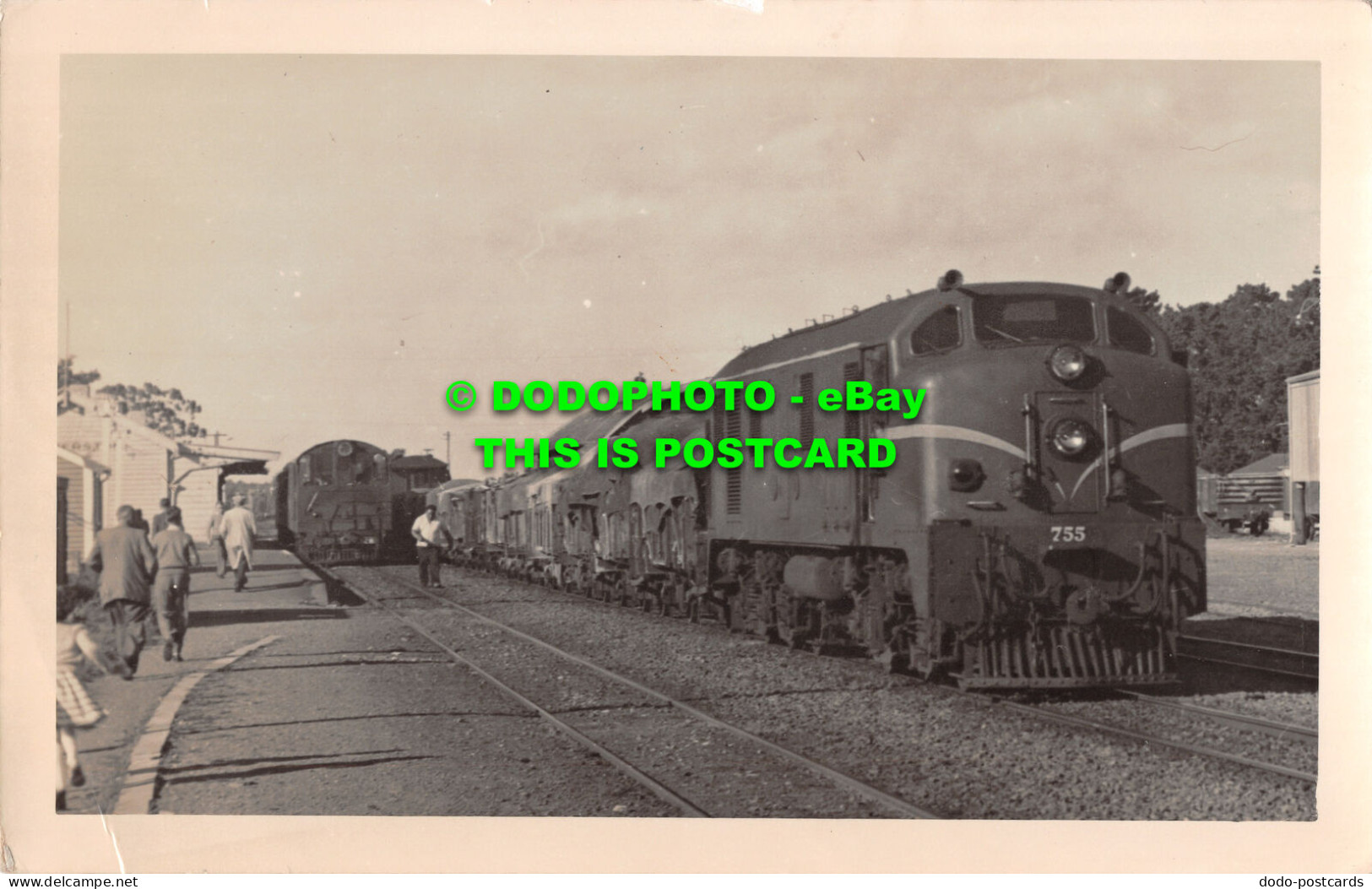 R515046 D. G. 755. Passing N. Z. R. And L. S. Standing At Platform - Monde