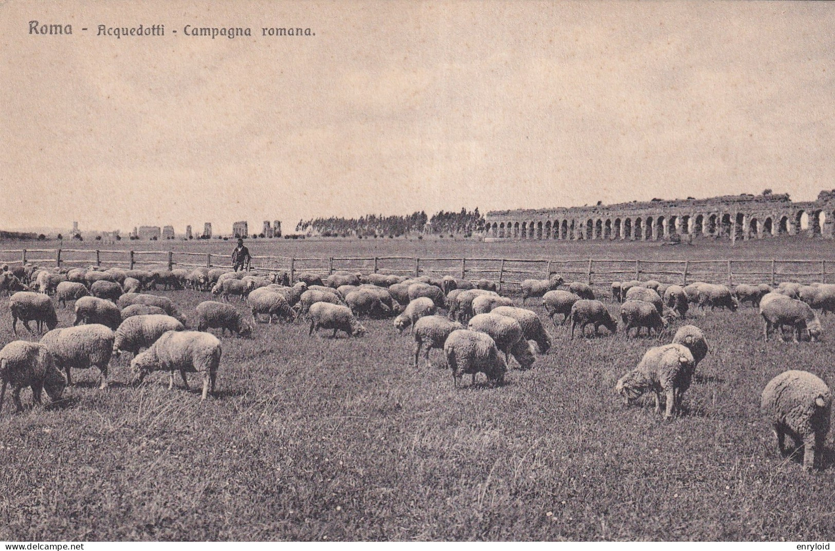 Roma Acquedotti Campagna Romana - Autres & Non Classés