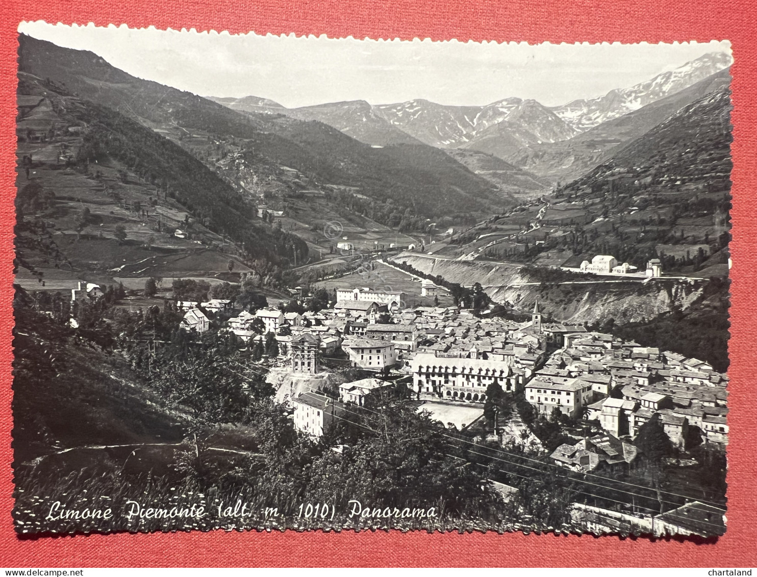 Cartolina - Limone Piemonte ( Cuneo ) - Pamorama - 1951 - Cuneo