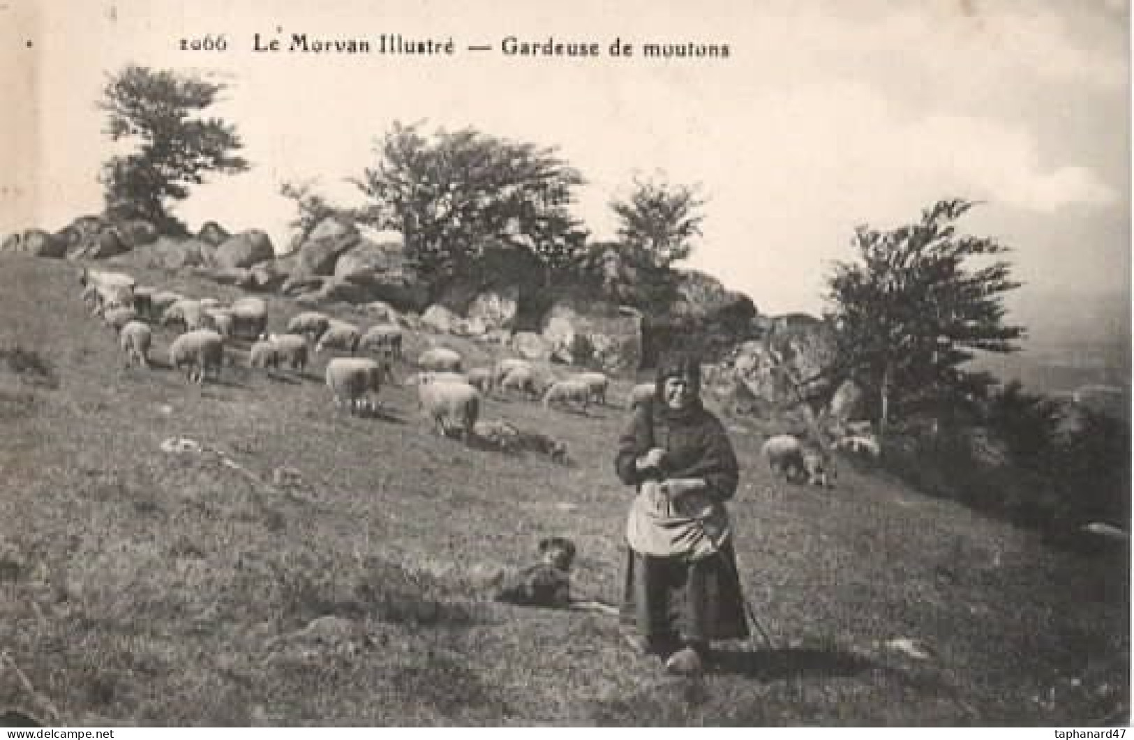 . 58 . Le Morvan Illustré . Gardeuse De Moutons . - Sonstige & Ohne Zuordnung