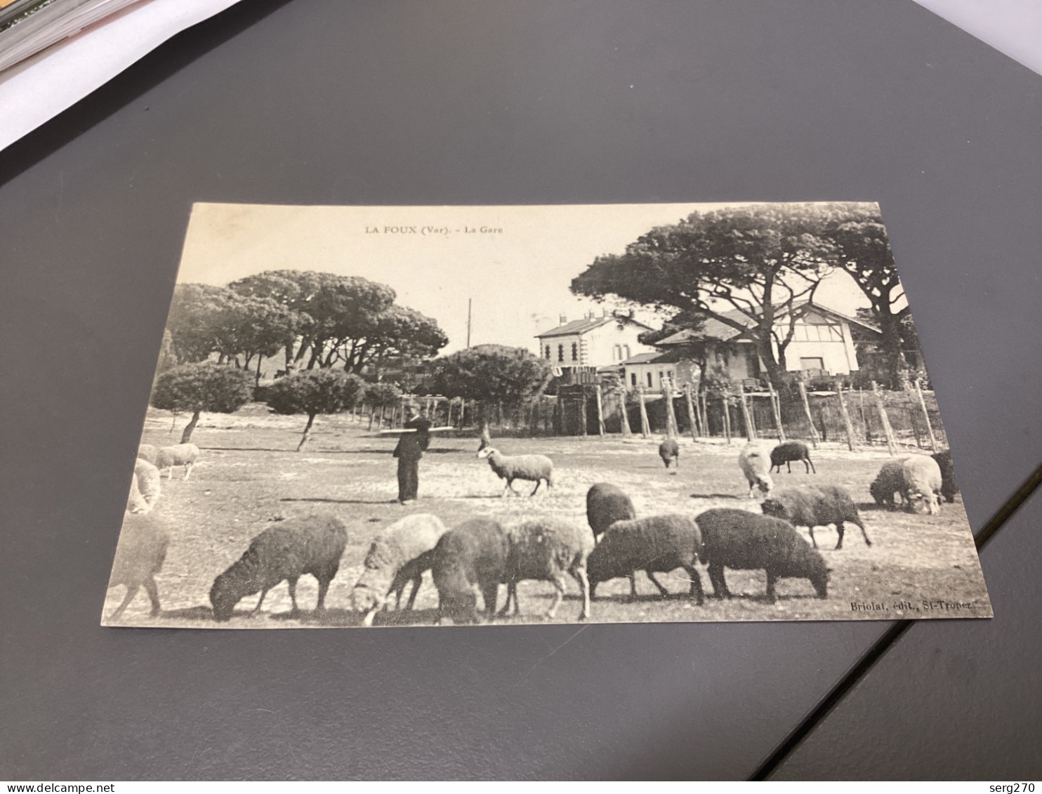 LA FOUX MOUTON Carte, Animée, Rare  LA CRAU LA MONACHE 1907 83 - LA FOUX Homme Avec Ses Animaux Moutons - La Crau