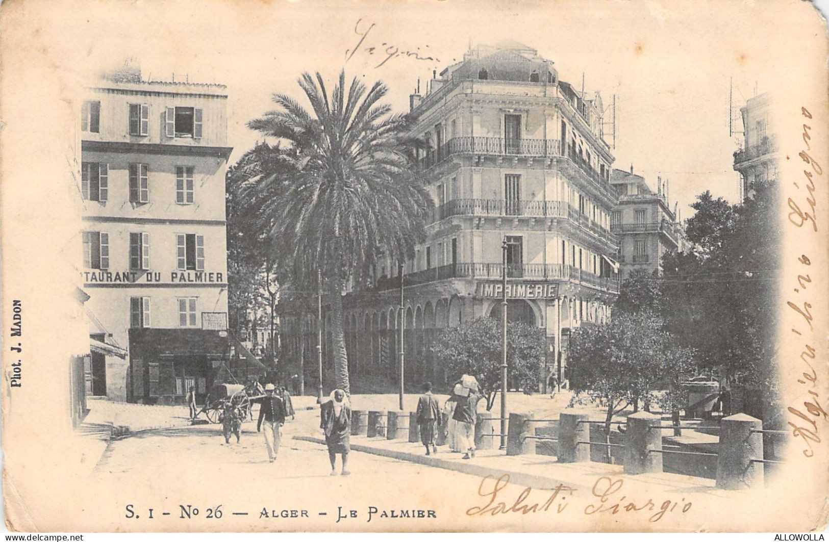 26991 " ALGER-LE PALMIER " ANIMÉ-VERA FOTO-CART.POST.  SPED.1905 - Alger